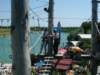 Photo Number 5