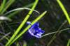 img_1128_small.jpg