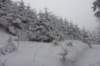 p1100841_small.jpg
