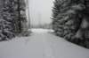 p1100850_small.jpg