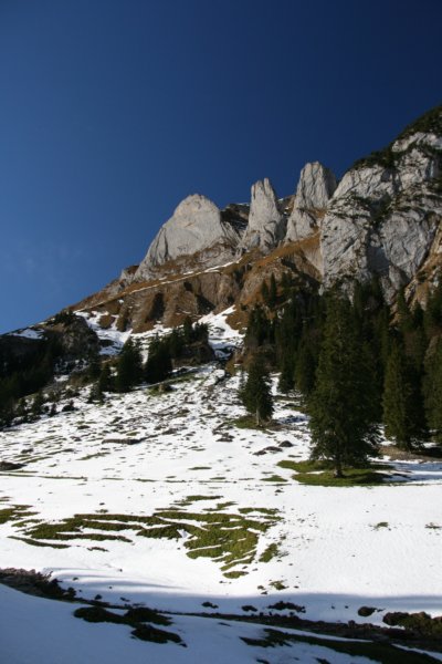 img_1289.jpg