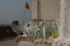 indien_03_jaipur_014_small.jpg