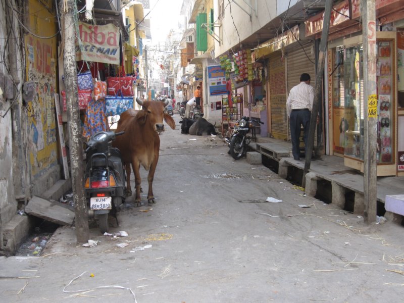 indien_03_jaipur_144.jpg