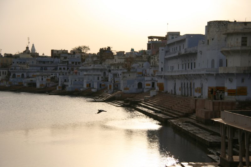 indien_04_pushkar_082.jpg
