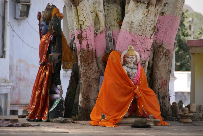 indien_04_pushkar_171.jpg