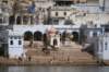 indien_04_pushkar_180_small.jpg