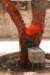 indien_04_pushkar_184_small.jpg