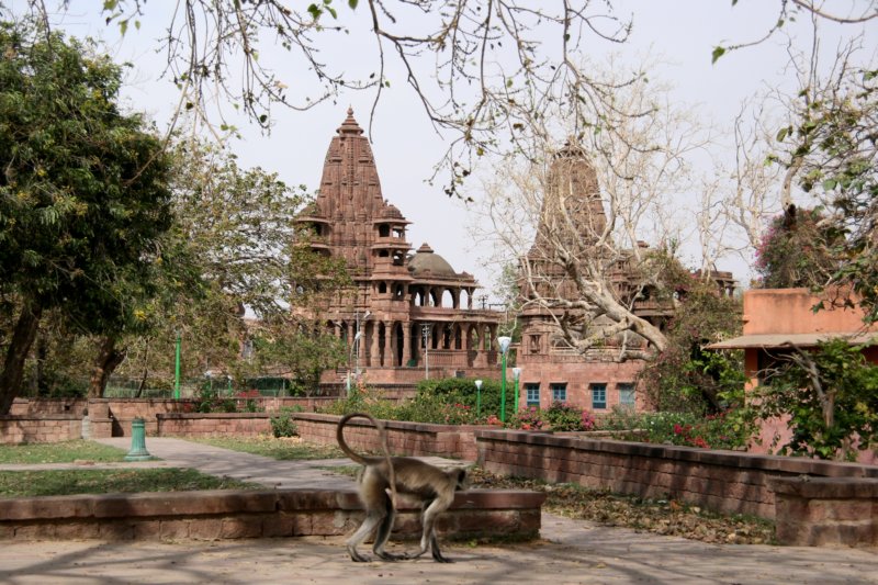 indien_05_jodhpur_201.jpg