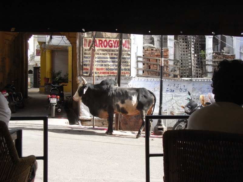 indien_09_udaipur_086.jpg