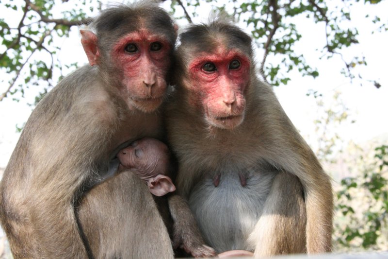 indien_11_mumbai_155.jpg
