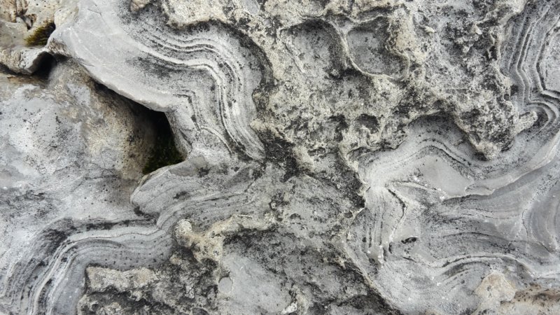 photo4.jpg