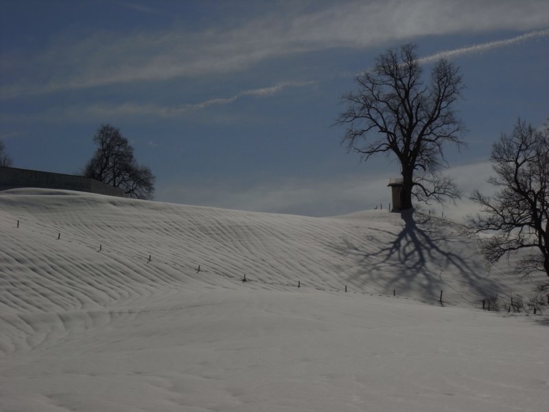 r0011522.jpg