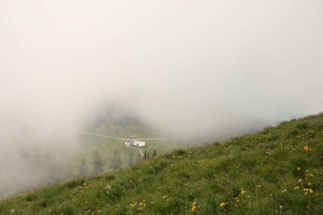 img_8763.jpg