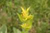 img_8766_small.jpg
