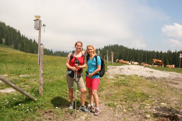 img_8771.jpg