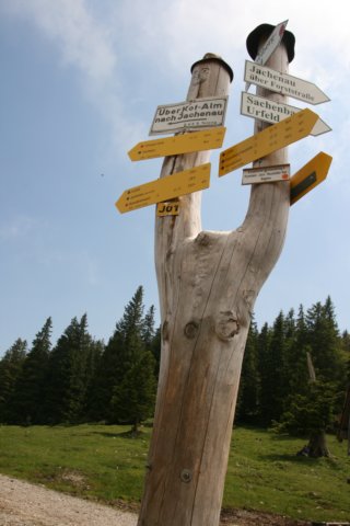 img_8772.jpg
