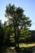 img_9863_small.jpg