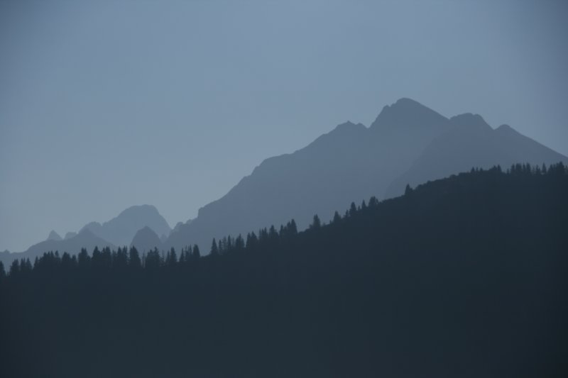 img_2730.jpg