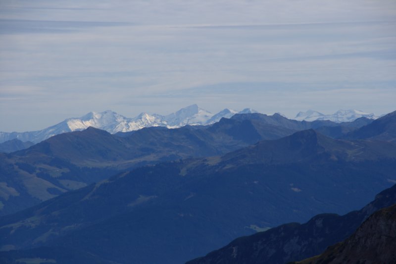 img_1784.jpg
