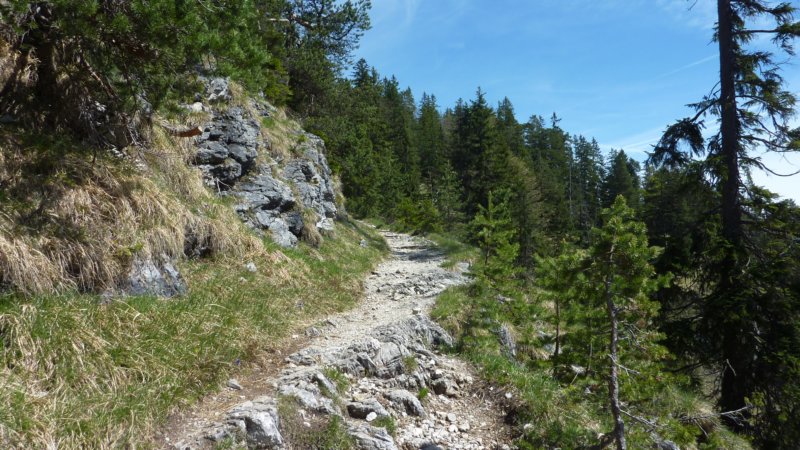 p1120108.jpg