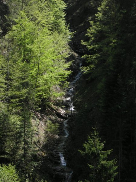 kif_8692.jpg