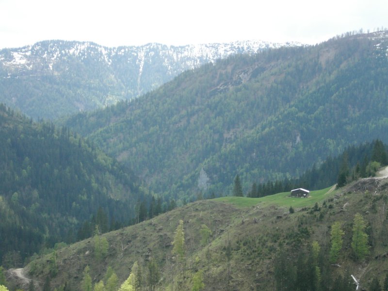 kif_8706.jpg