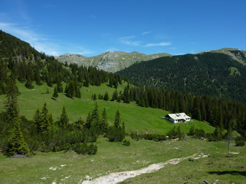 p1130746.jpg