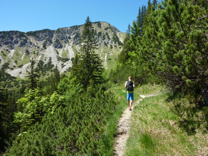 p1130756.jpg