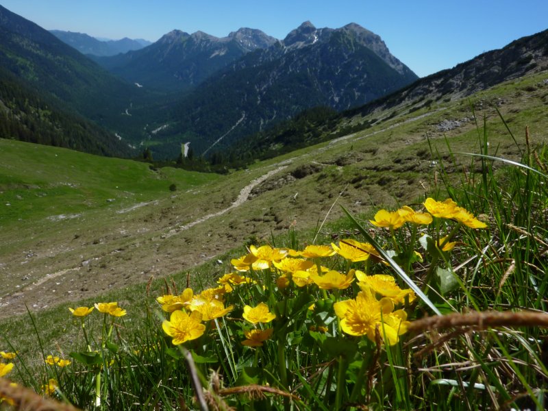 p1130758.jpg