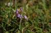 img_5959_small.jpg