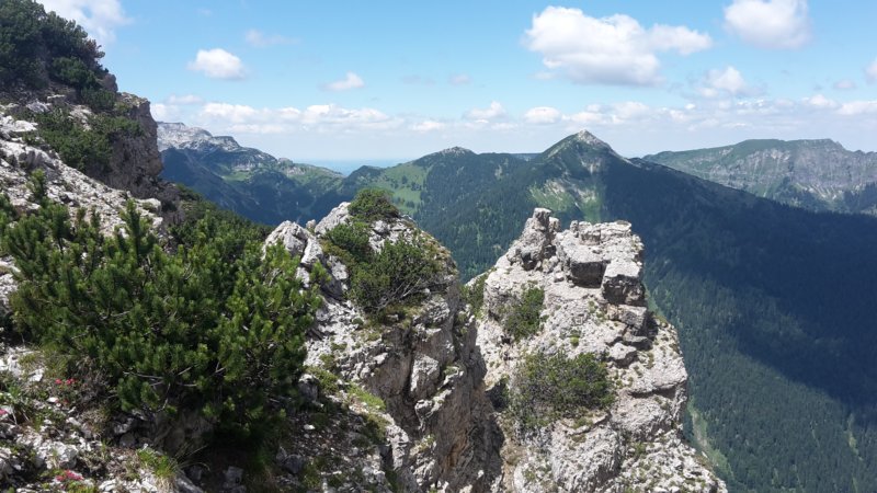 photo12.jpg