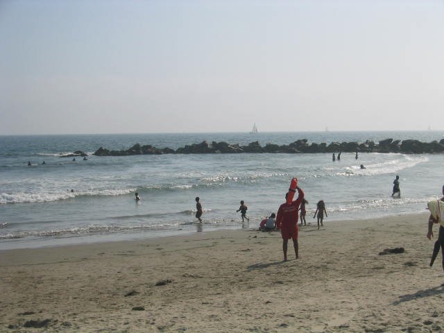 Photograph