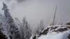 dsc01165_small.jpg