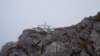 dsc01172_small.jpg