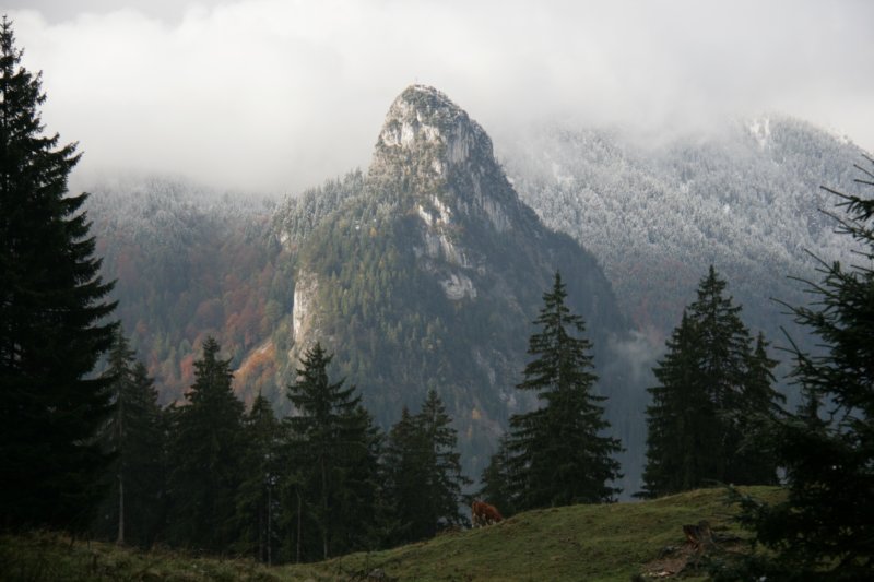 img_8949.jpg