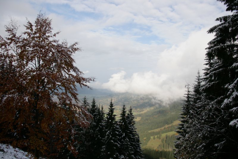 img_8952.jpg