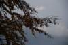 img_8953_small.jpg