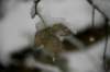 img_8961_small.jpg