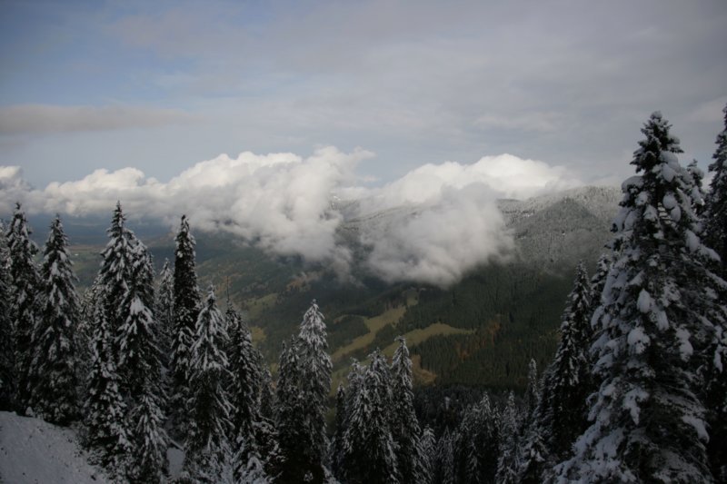 img_8977.jpg