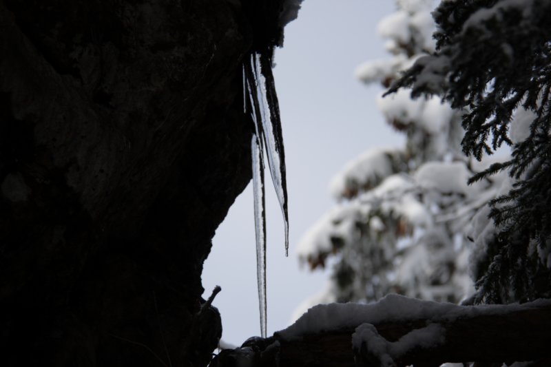 img_8981.jpg
