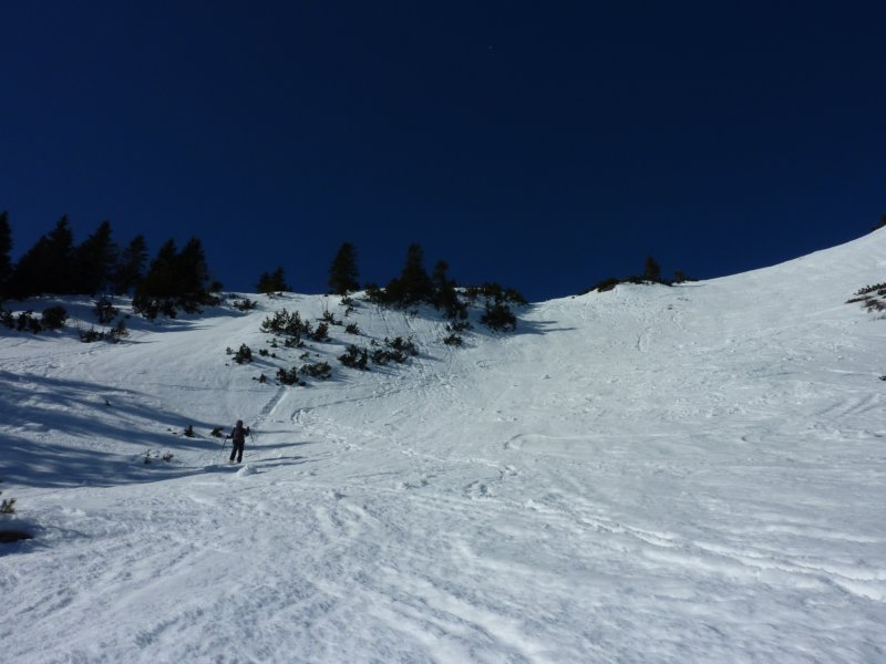 p1060423.jpg
