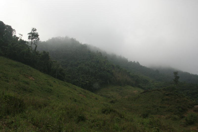 img_2461.jpg