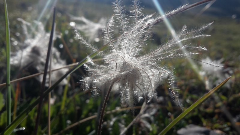 photo15.jpg
