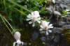 p1100025_small.jpg