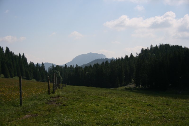 img_0196.jpg