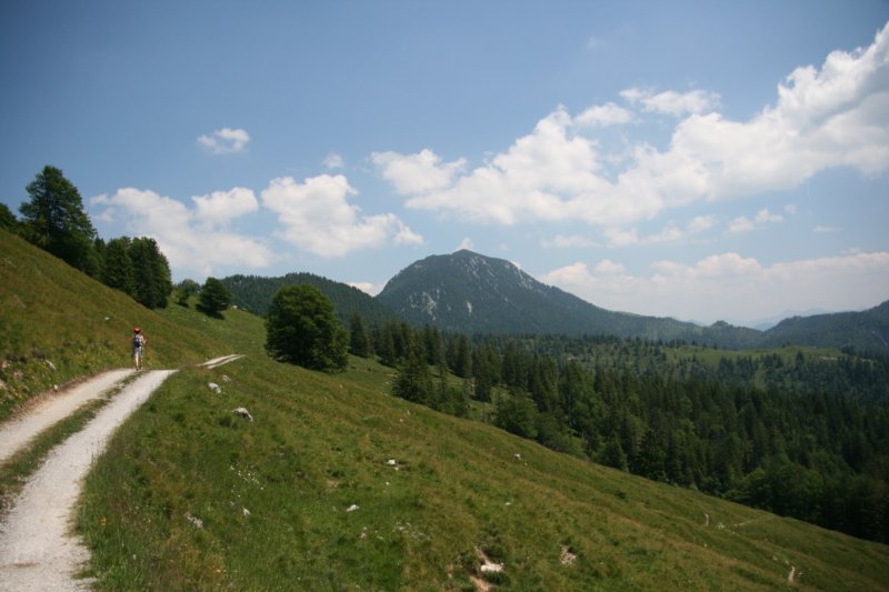 img_0210.jpg