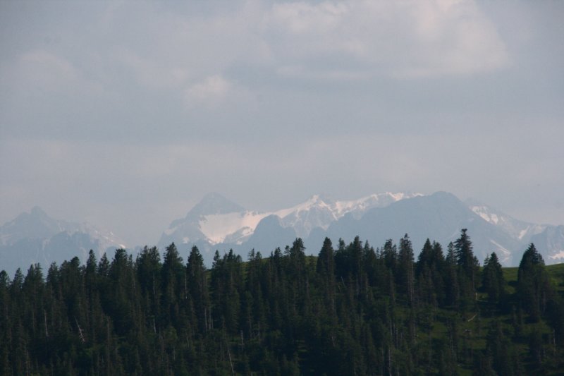 img_0215.jpg