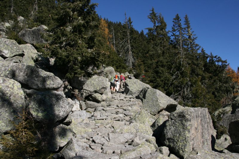 img_3630.jpg