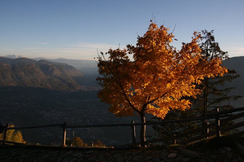 img_3704.jpg