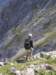 mittenwalder_ks_115_small.jpg